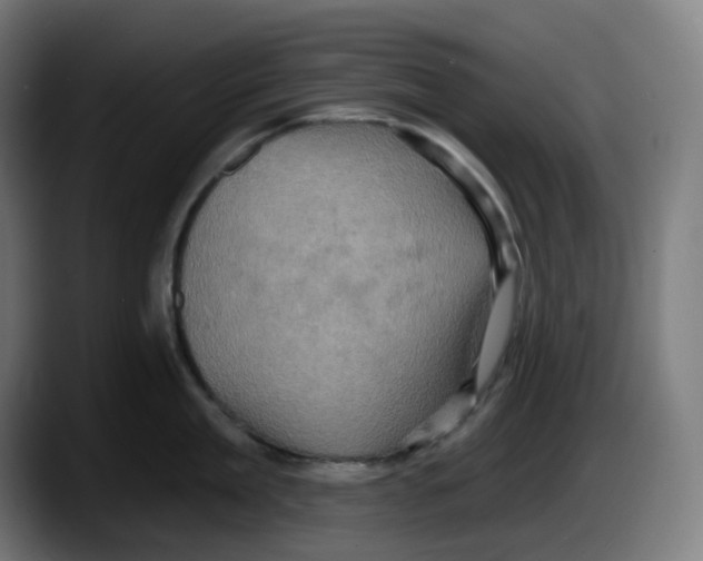 X0000087530909200705251657