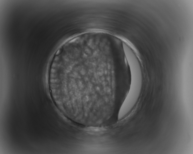 X0000087530910200705251657