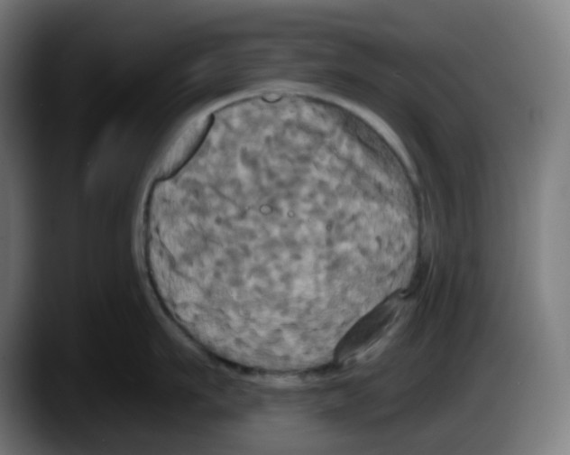 X0000087530911200705251657