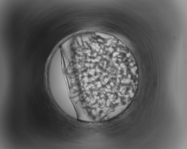X0000087530912200705251657