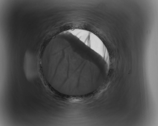 X0000087530913200705251656