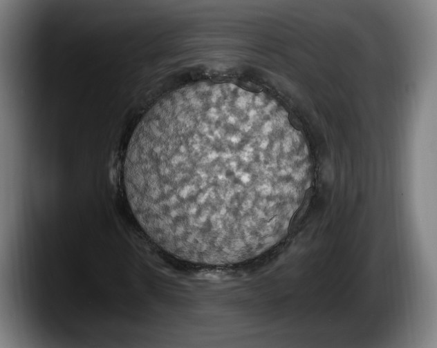 X0000087530914200705251656