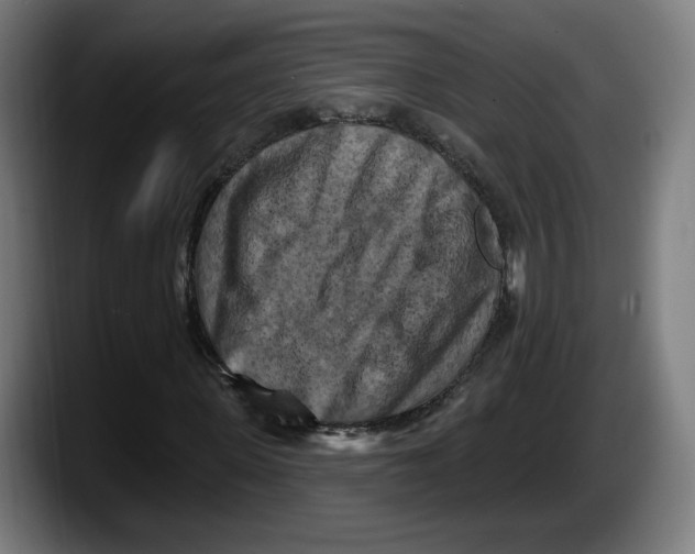 X0000087530915200705251656