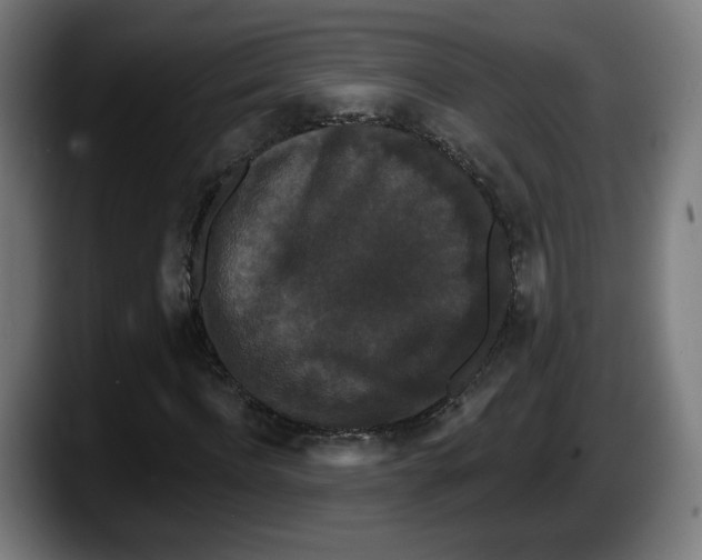 X0000087530916200705251656