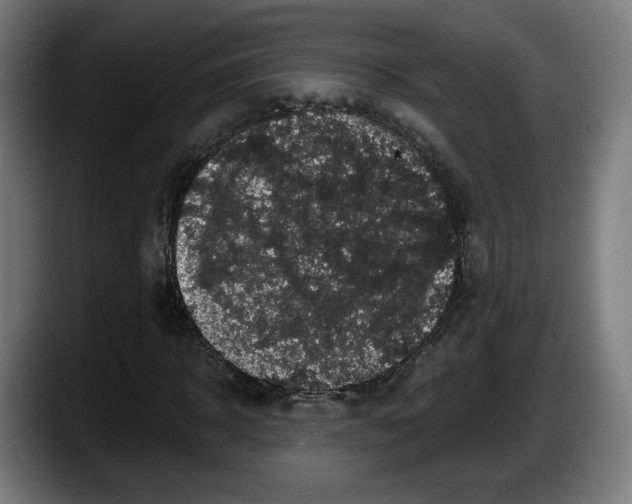 X0000087530918200705251656