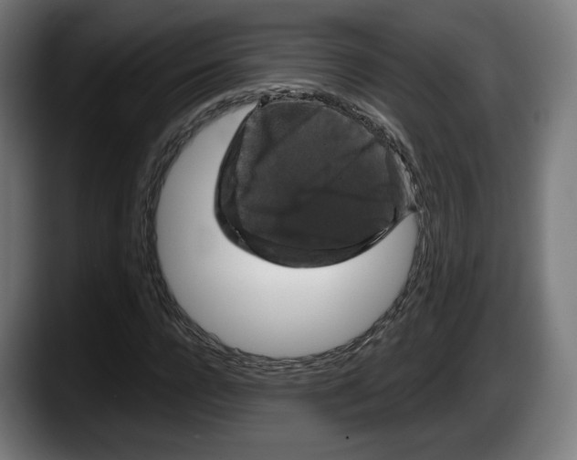 X0000087530920200705251656