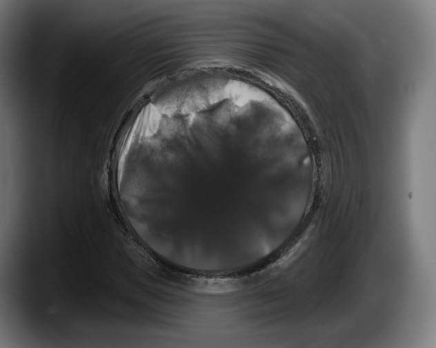 X0000087530921200705251656
