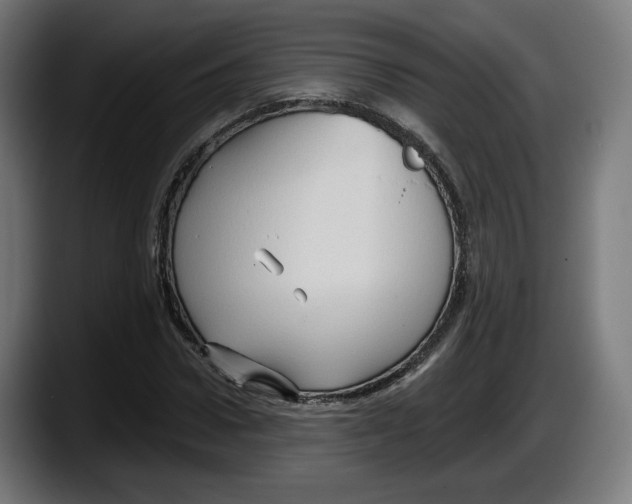 X0000087530922200705251656