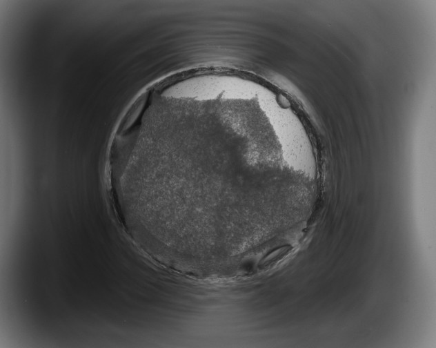 X0000087530924200705251656