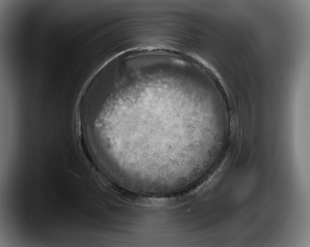 X0000087530925200705251656