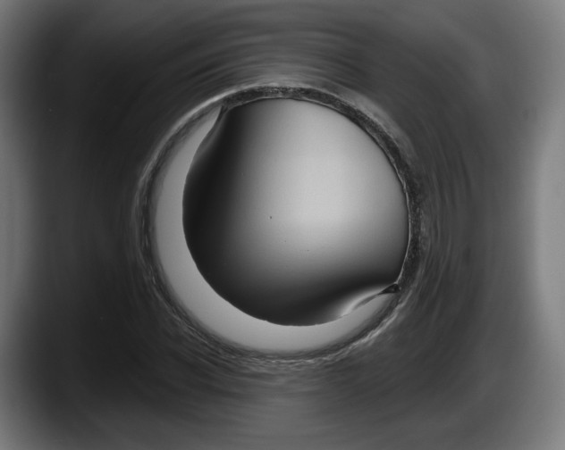 X0000087530926200705251656