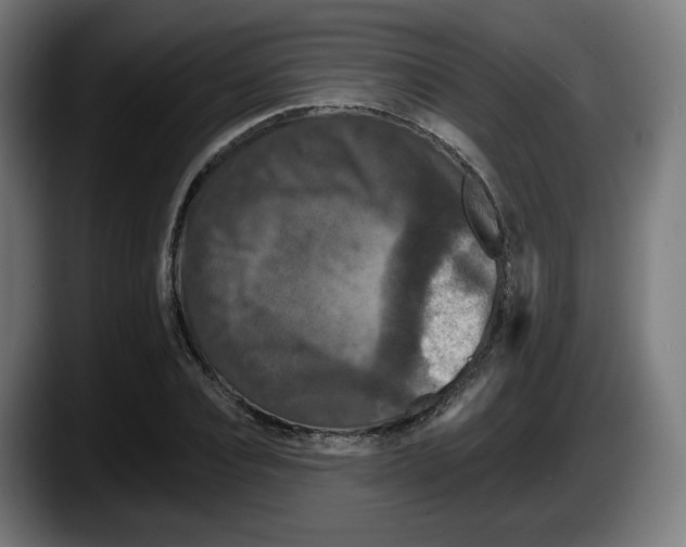 X0000087530928200705251656