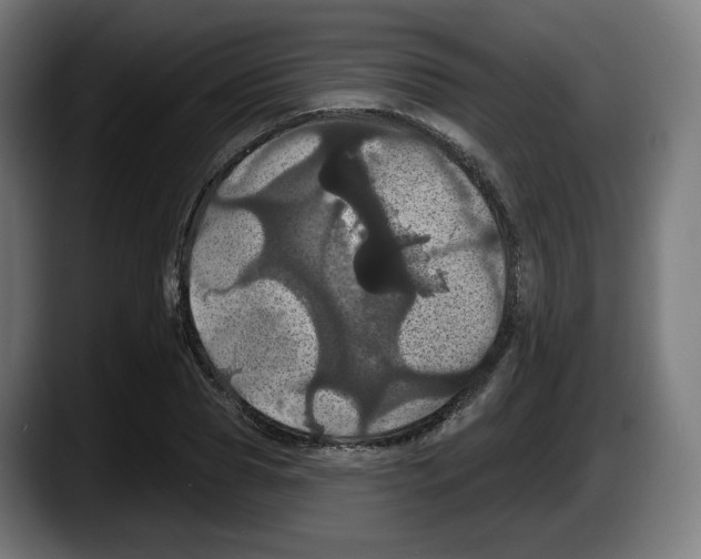 X0000087530929200705251656