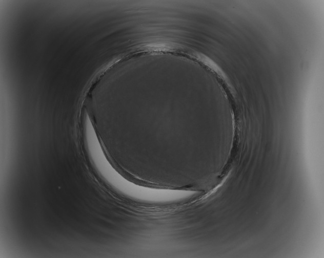 X0000087530930200705251656