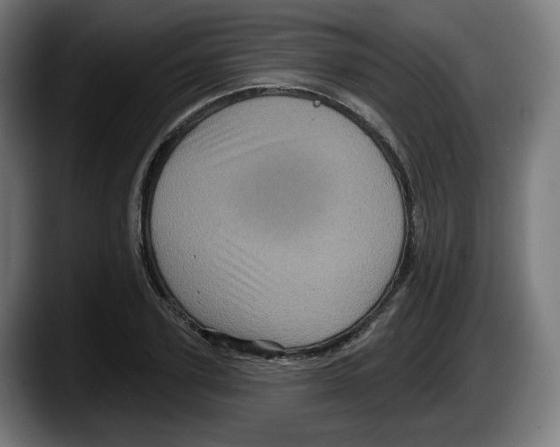 X0000087530931200705251656