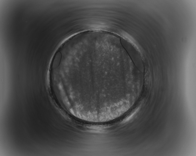 X0000087530932200705251656