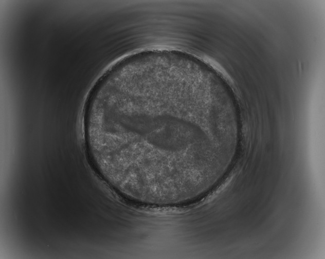 X0000087530934200705251656