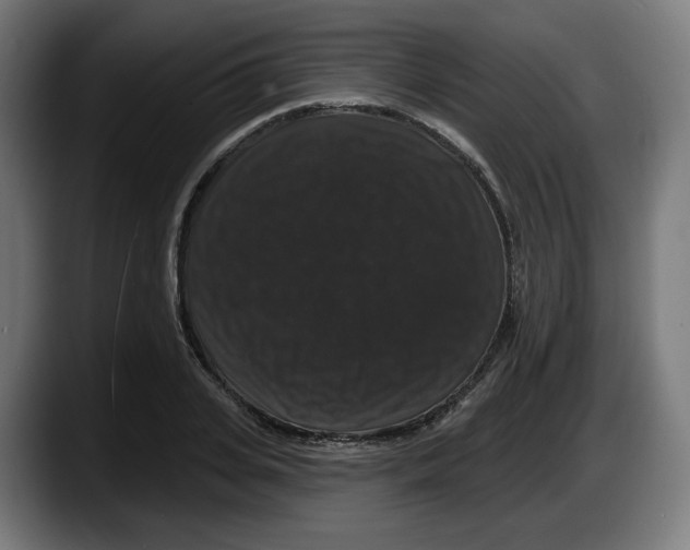 X0000087530935200705251656