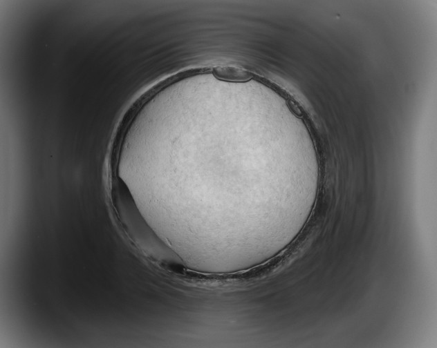 X0000087530936200705251656