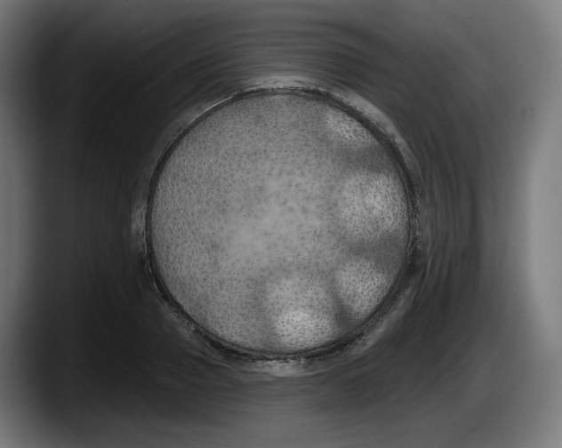 X0000087530937200705251656