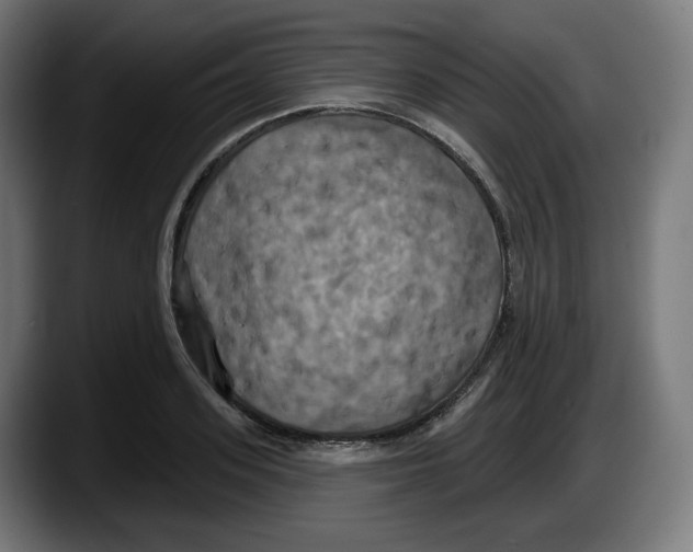 X0000087530939200705251656