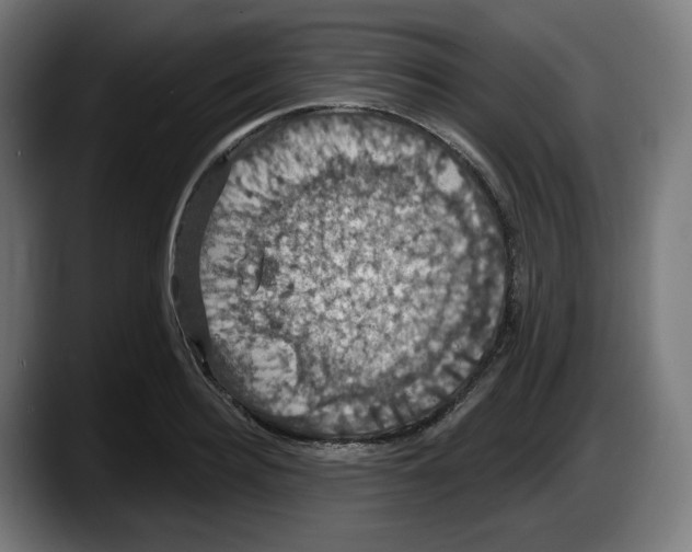 X0000087530940200705251656