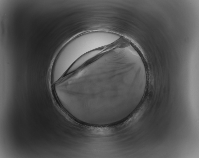 X0000087530941200705251656