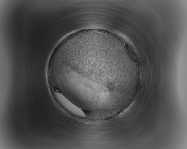 X0000087530942200705251656