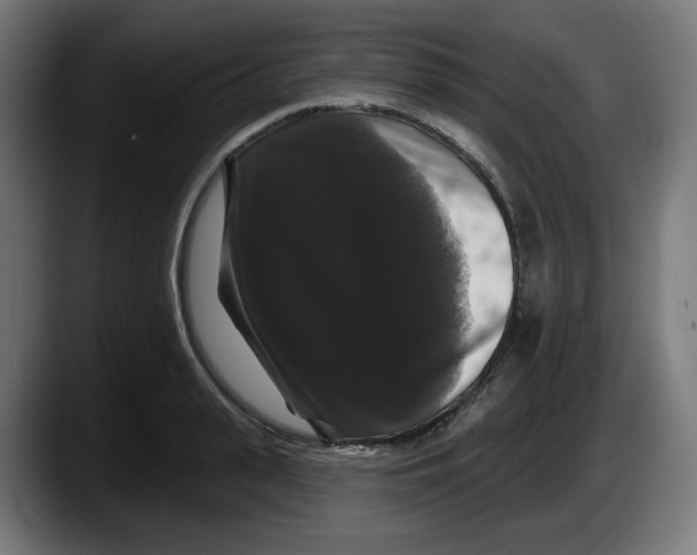 X0000087530943200705251656