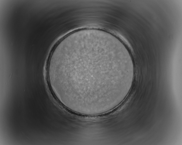 X0000087530944200705251656