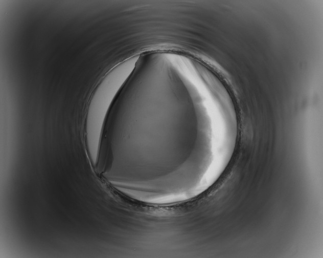 X0000087530945200705251656