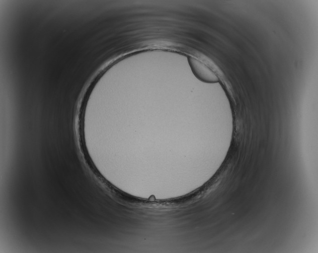 X0000087530947200705251656