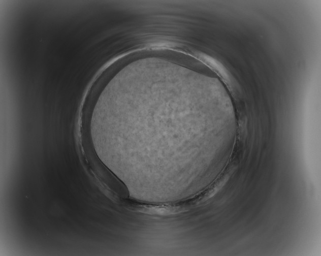 X0000087530948200705251656