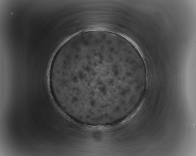 X0000087530949200705251656