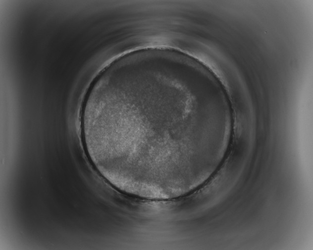 X0000087530950200705251656