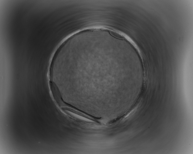 X0000087530951200705251656