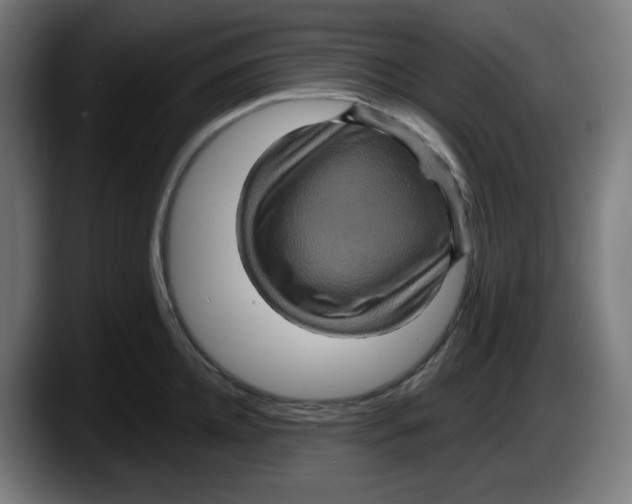 X0000087530952200705251657