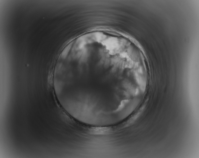 X0000087530953200705251657