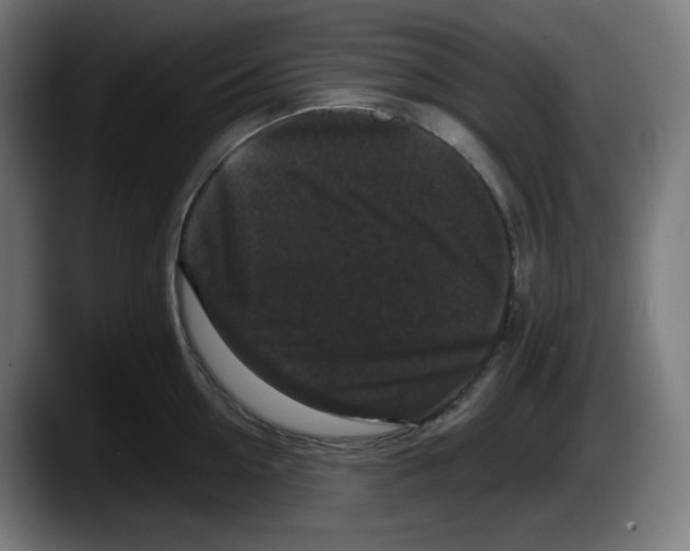 X0000087530954200705251657