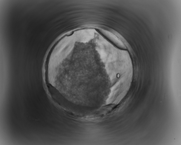 X0000087530955200705251657