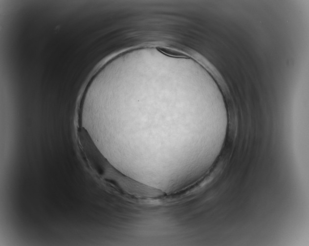 X0000087530956200705251657
