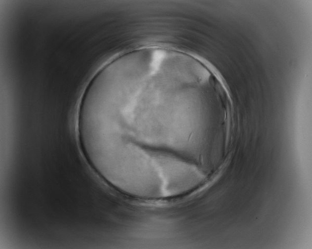 X0000087530957200705251657