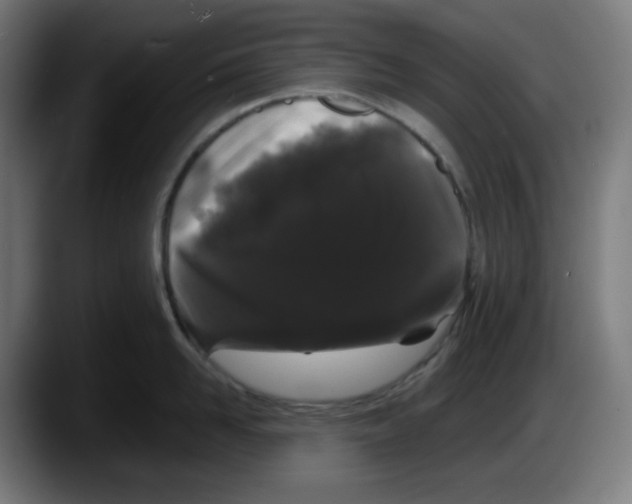 X0000087530958200705251657