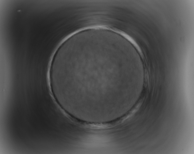 X0000087530959200705251657