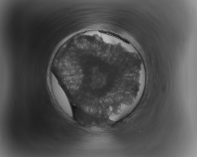X0000087530960200705251657