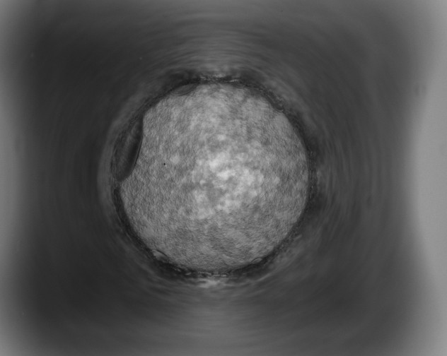 X0000087530961200705251656