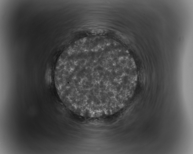 X0000087530962200705251656
