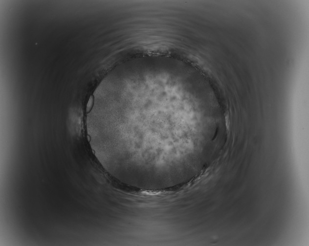 X0000087530963200705251656