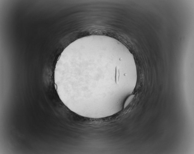 X0000087530964200705251656