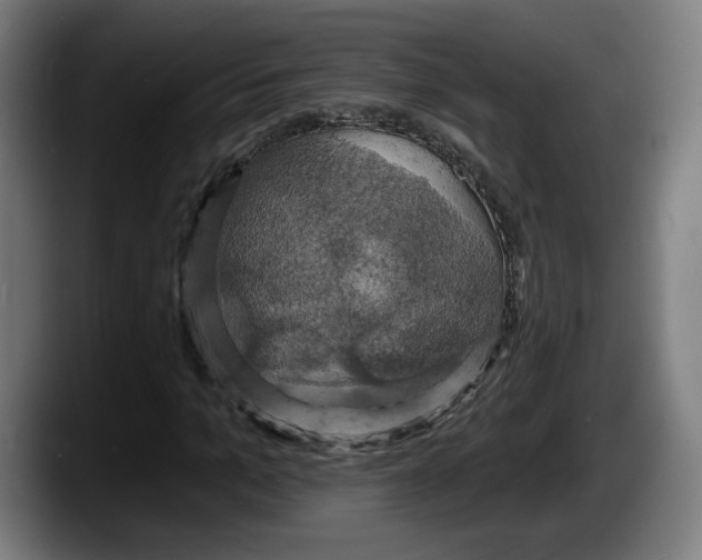 X0000087530965200705251656